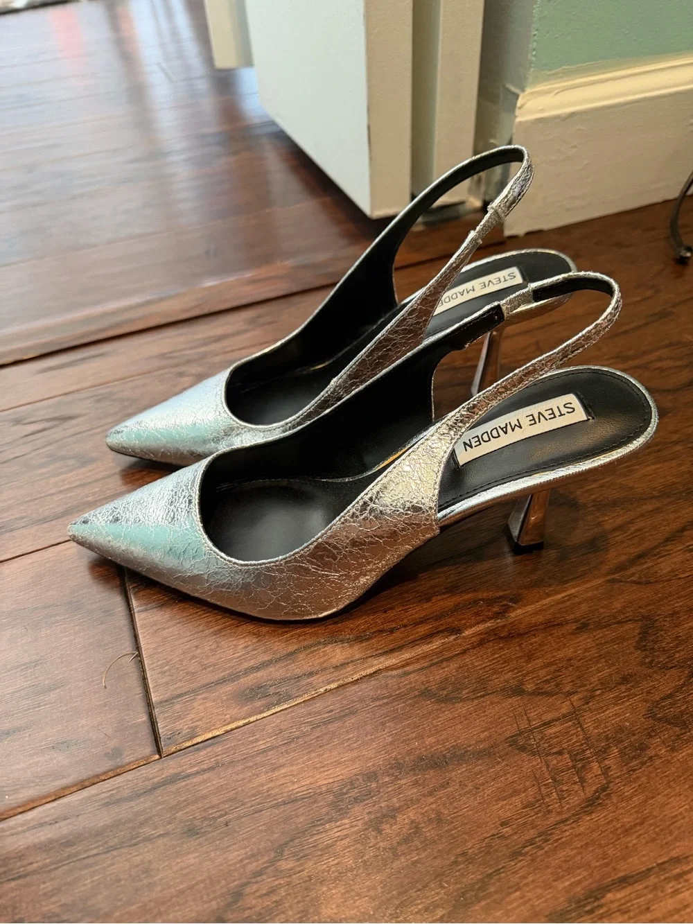 Steve Madden chic pointed